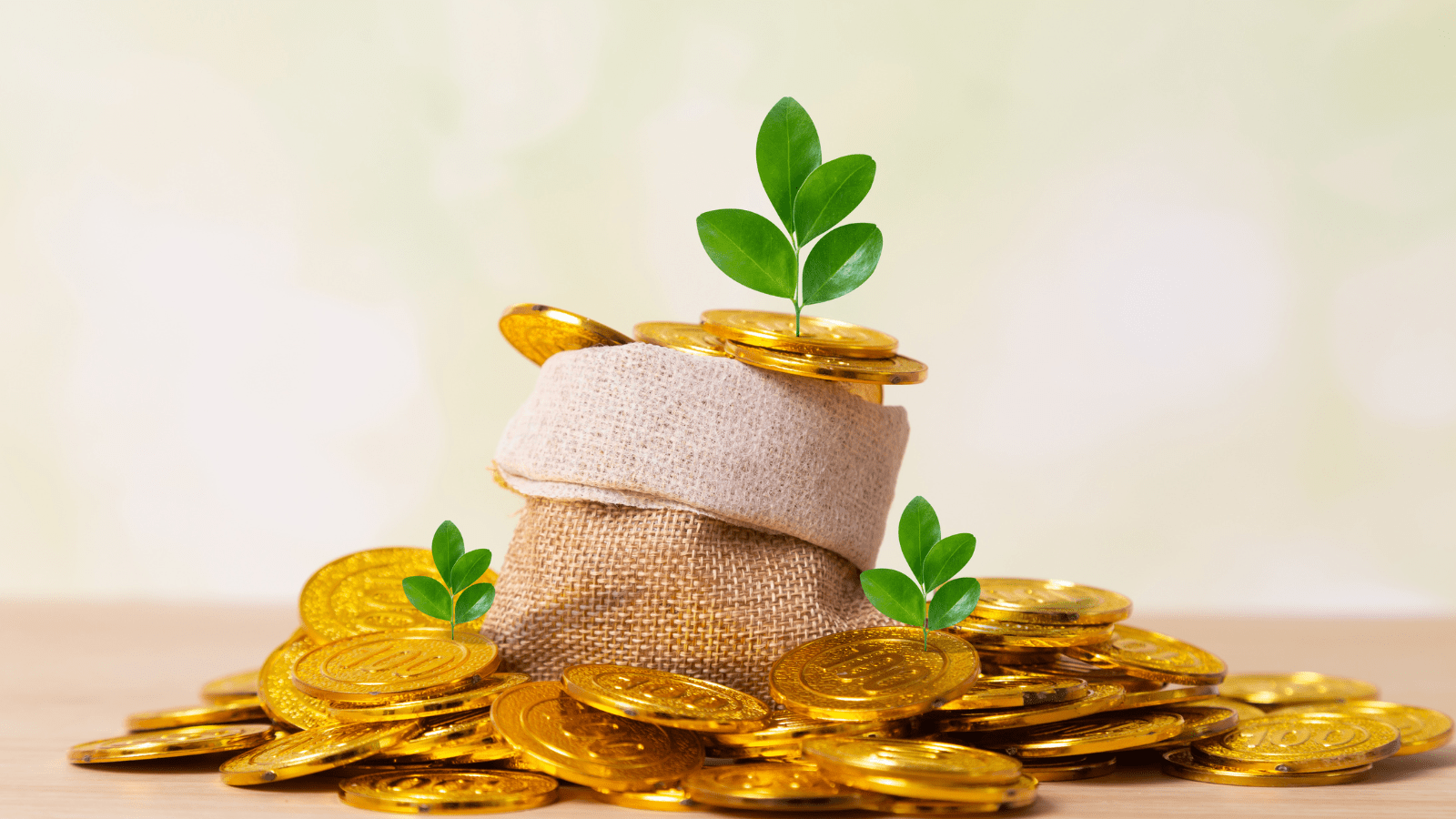 What is Pay After Placement? How does it work?